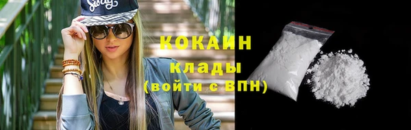 эйфоретик Арсеньев