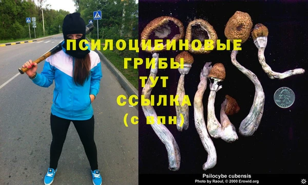 эйфоретик Арсеньев