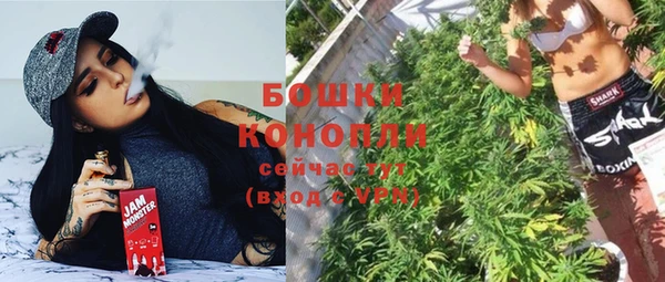 гидра Аркадак